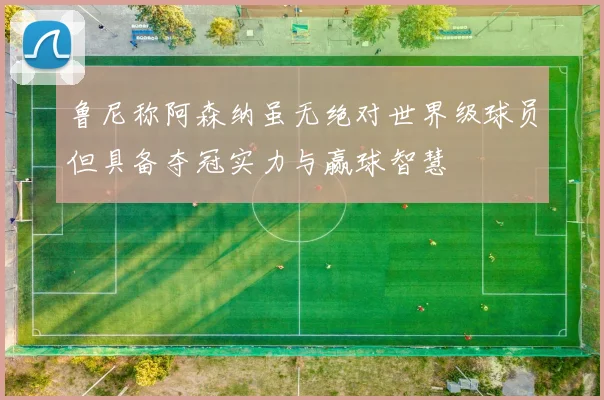 鲁尼称阿森纳虽无绝对世界级球员但具备夺冠实力与赢球智慧