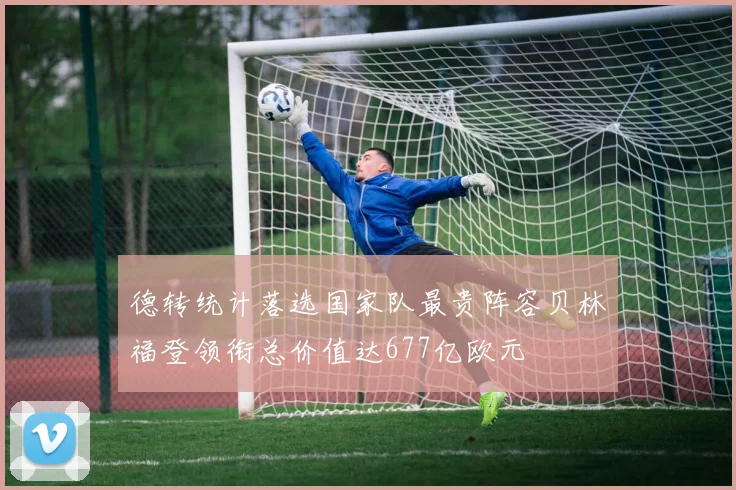 德转统计落选国家队最贵阵容贝林福登领衔总价值达677亿欧元