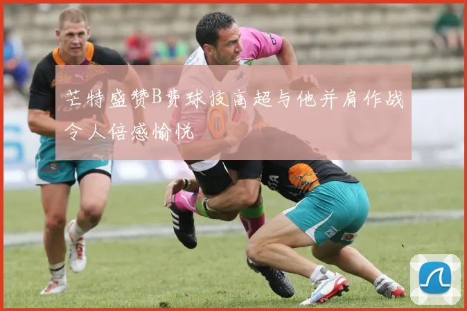 芒特盛赞B费球技高超与他并肩作战令人倍感愉悦